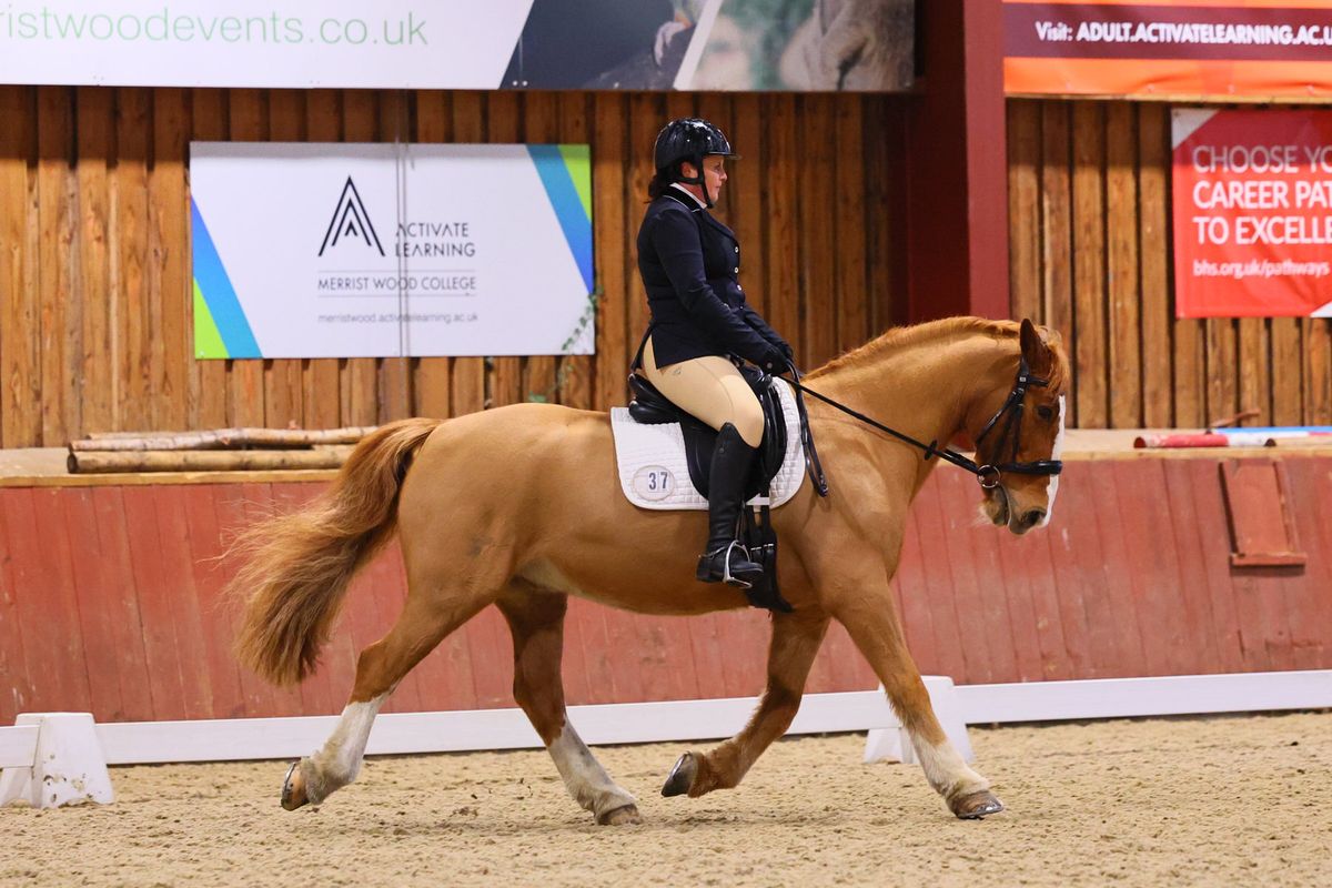 Unaffiliated Evening Dressage 