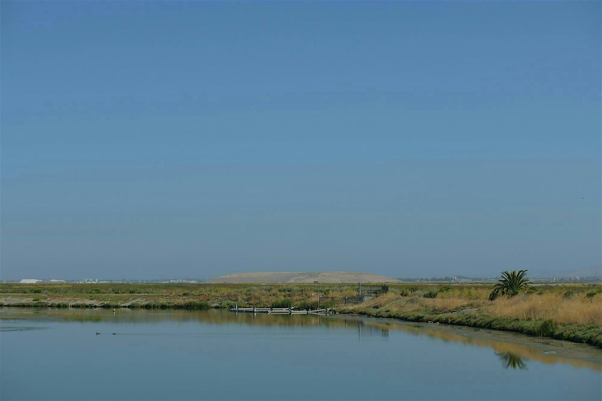 Planting for Pollinators at the Refuge