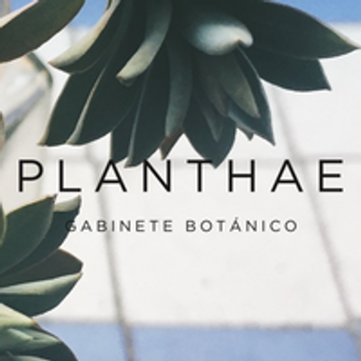 Planthae