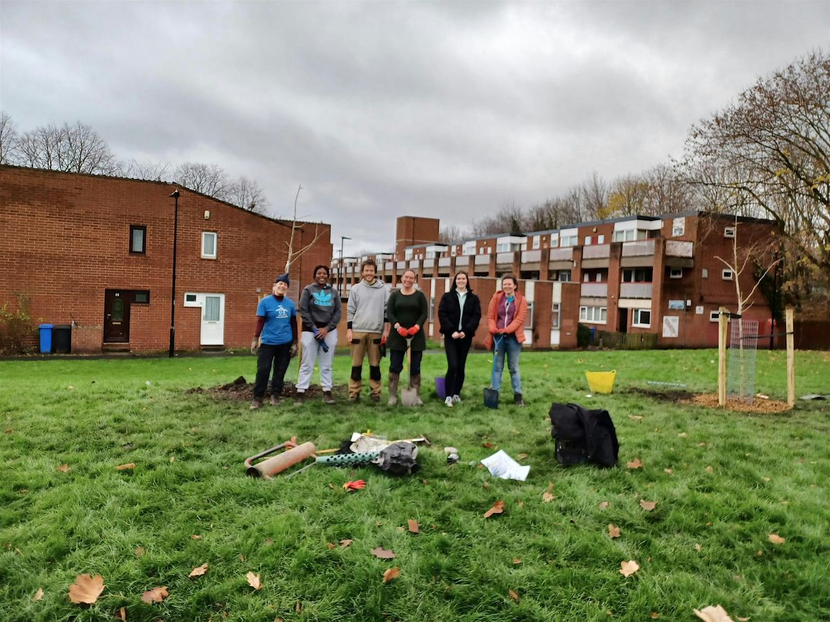 Tree Planting in Hillsborough Park