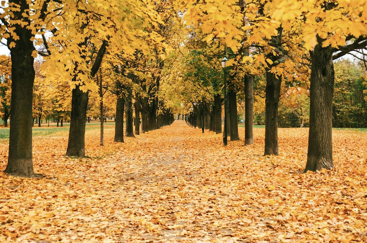 Take Your Best Travel Photographs Yet! with Autumn Carolynn