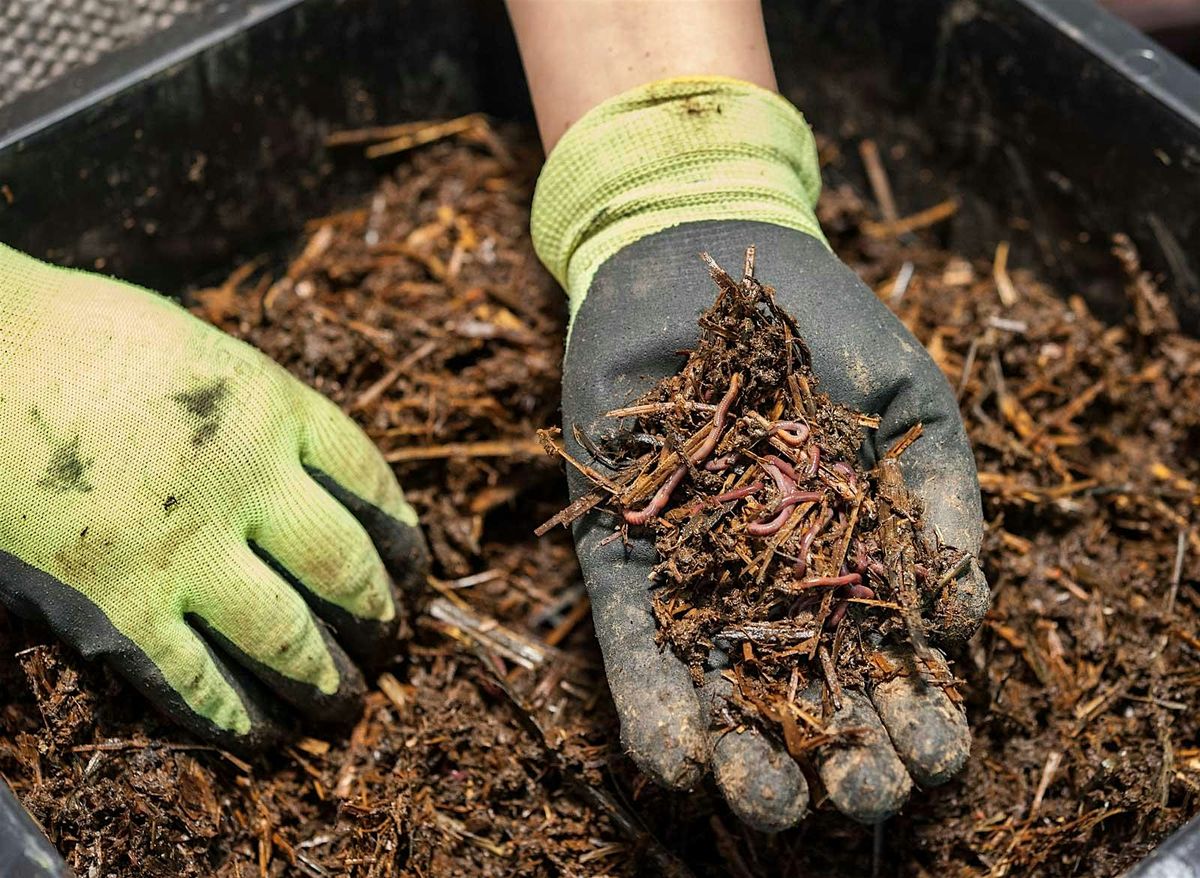 Vermicomposting Workshop at Bmore Garden Space