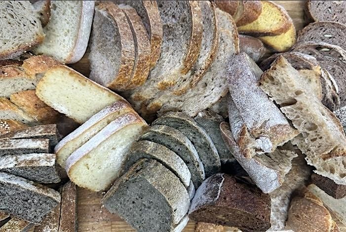 Rediscovering the genuine art of baking  : SOURDOUGH !