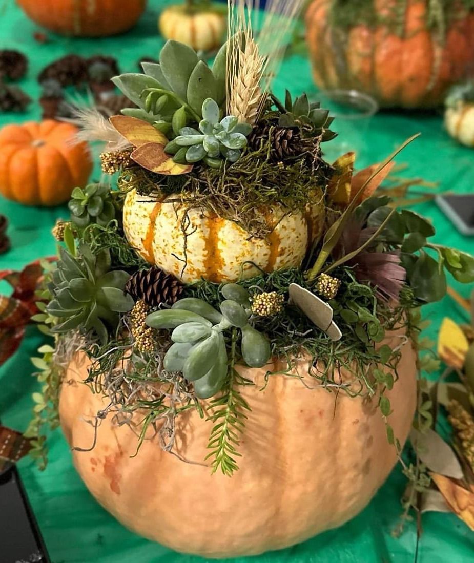 Pumpkin Succulent Decorating Workshop at Theos