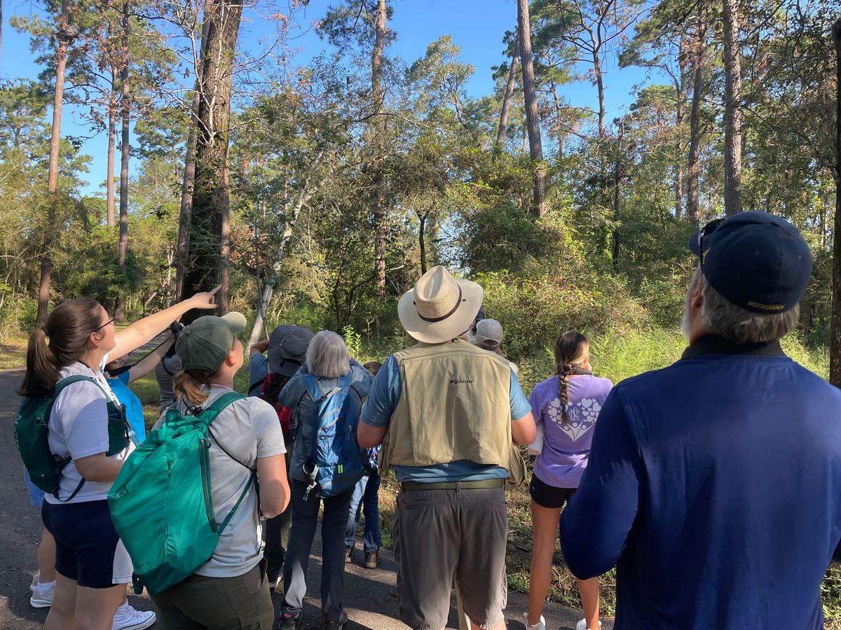 Bird Survey and Nature Hike