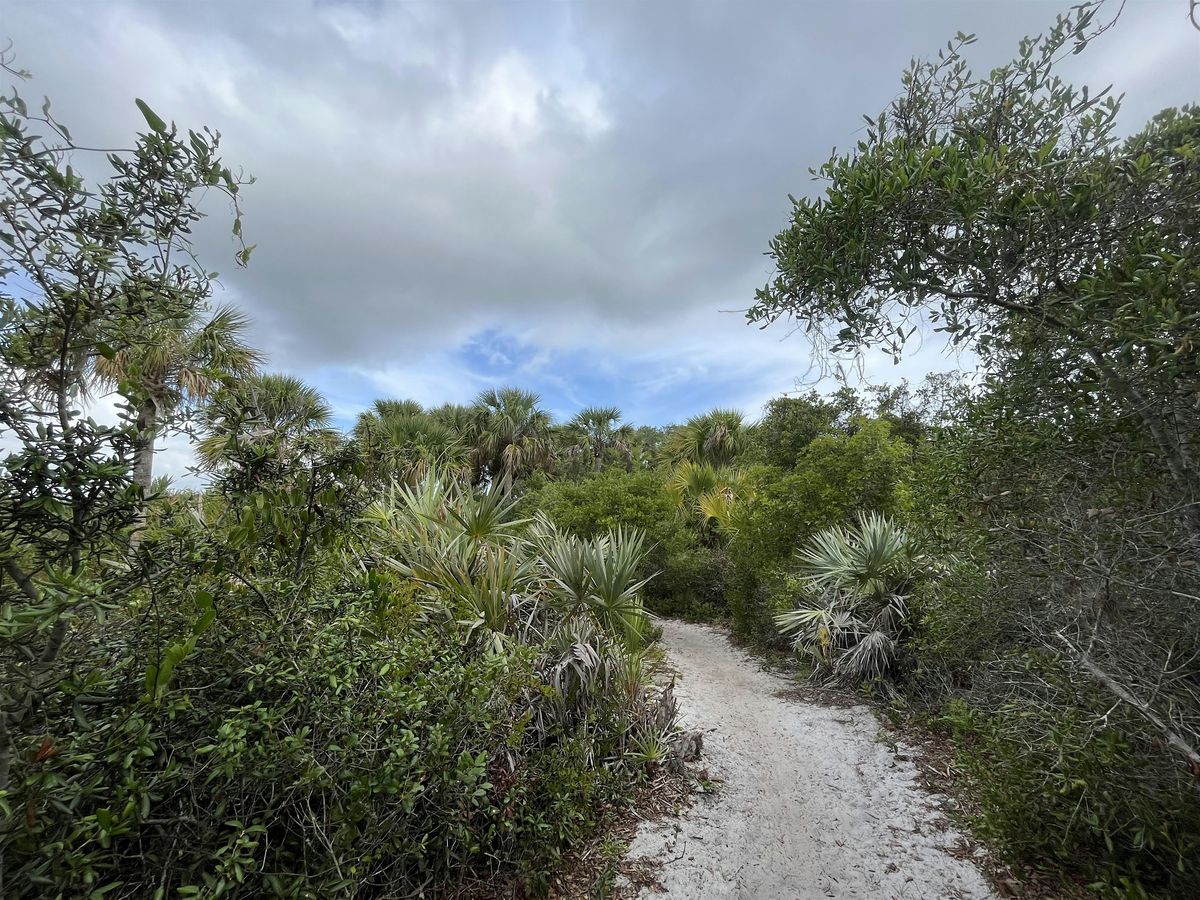 Holly-Day Nature Walk