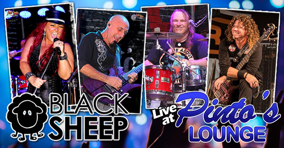 Black Sheep Rocks Pinto's