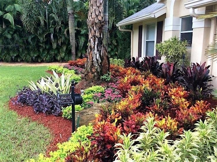 Landscape Design Basics