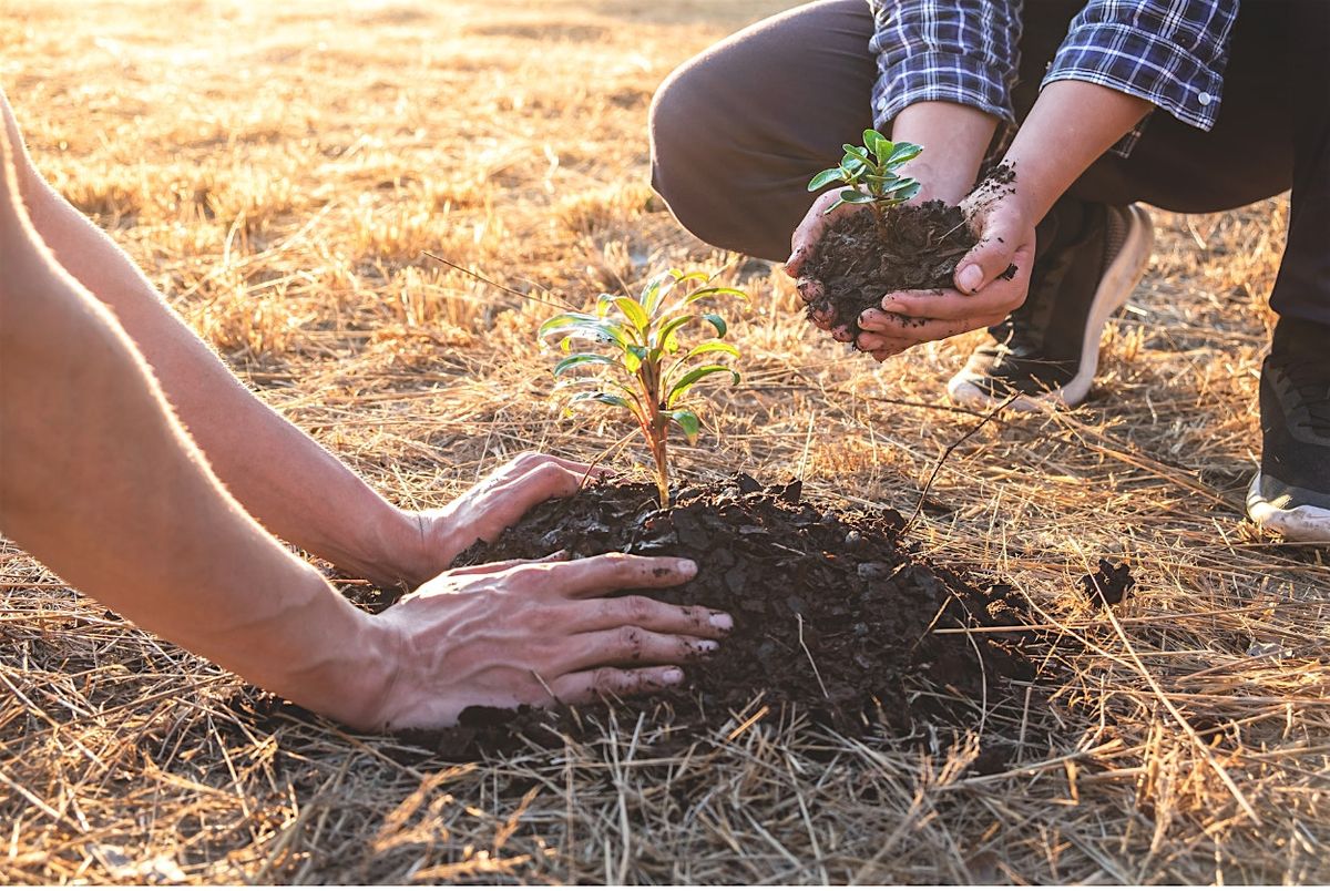 Tree Planting at Del Prado Linear Park