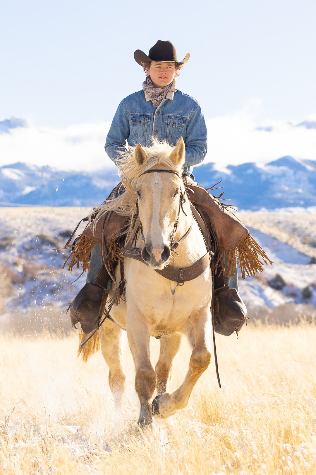 Billings Livestock Horse Sale