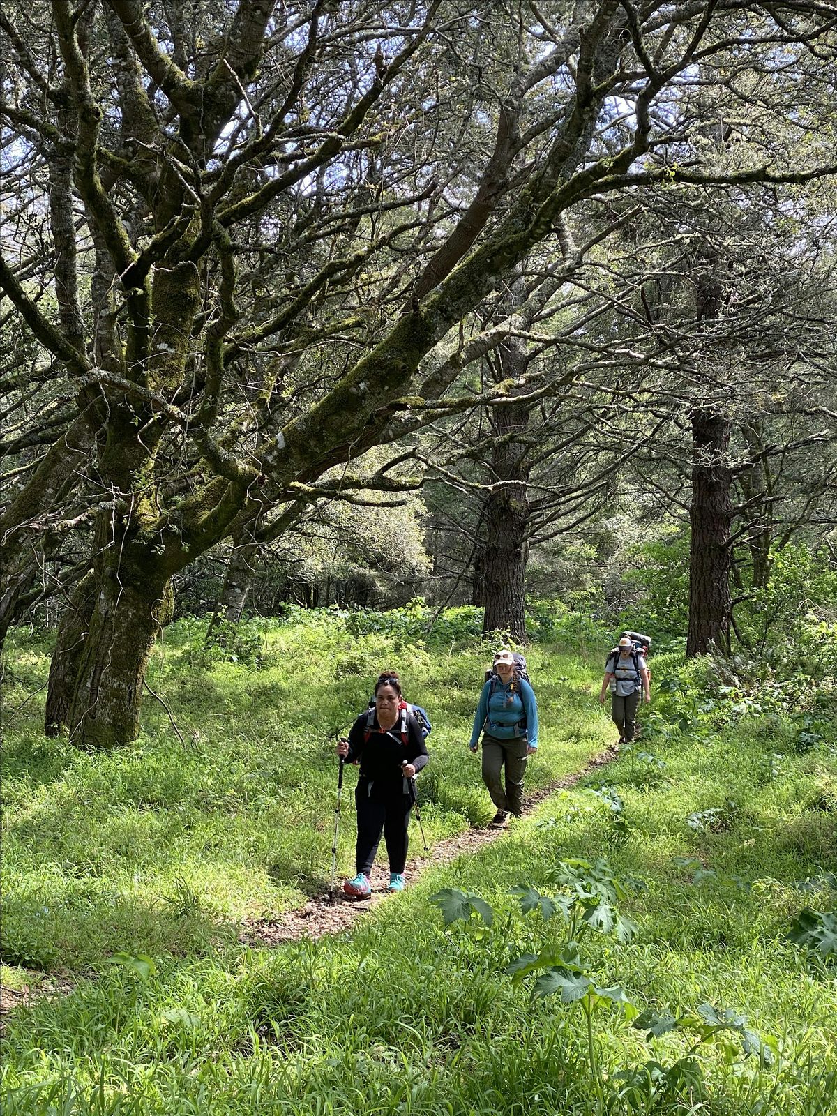 Overnight Backpacking Adventure at Point Reyes