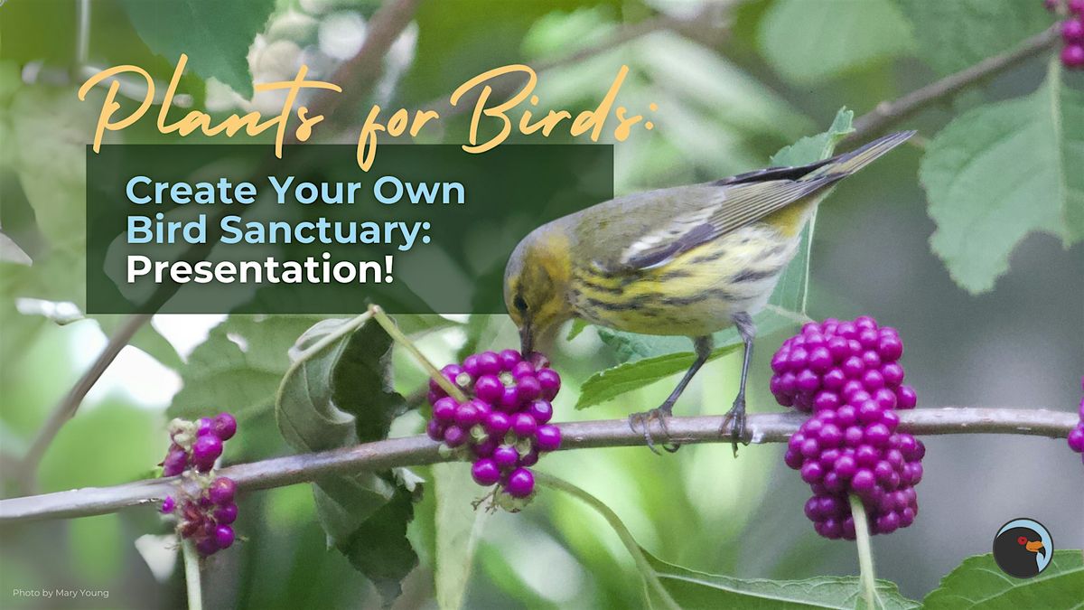 Plants for Birds: Create Your Own Bird Sanctuary Presentation