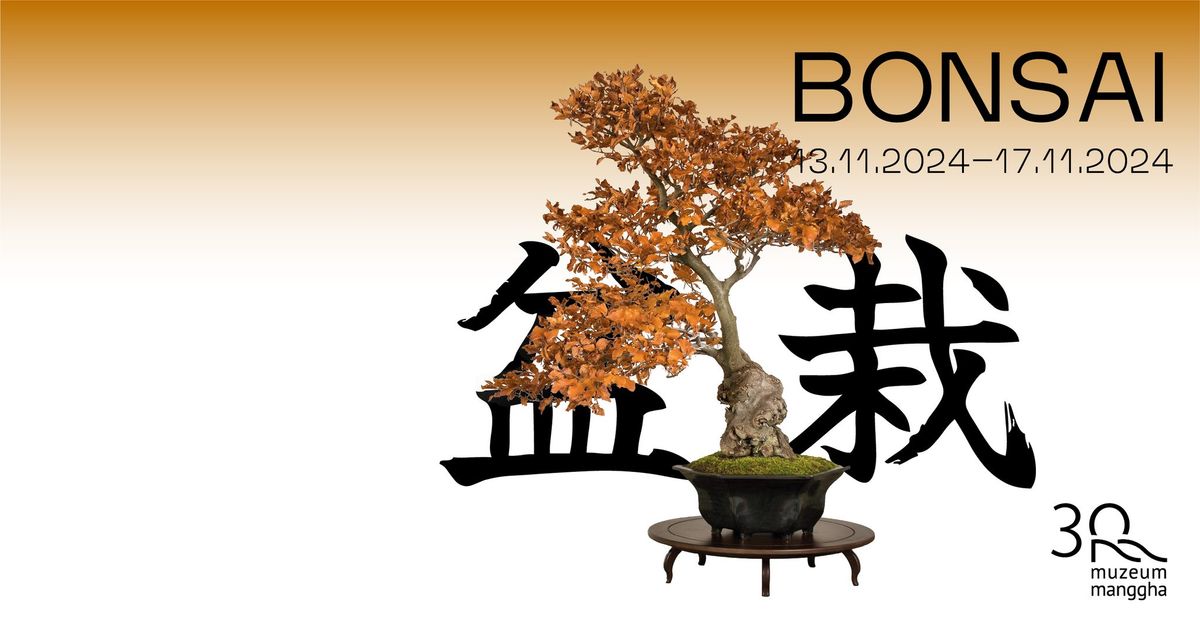 BONSAI. Wystawa na jubileusz 30-lecia Muzeum Manggha