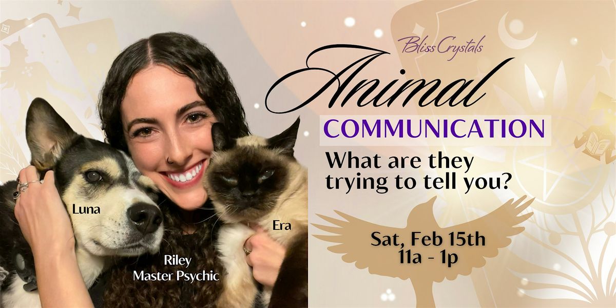 Animal Communication - What are they trying to tell you?