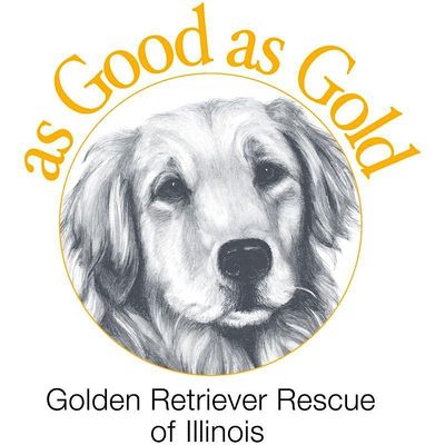 As Good as Gold Golden Retriever Rescue