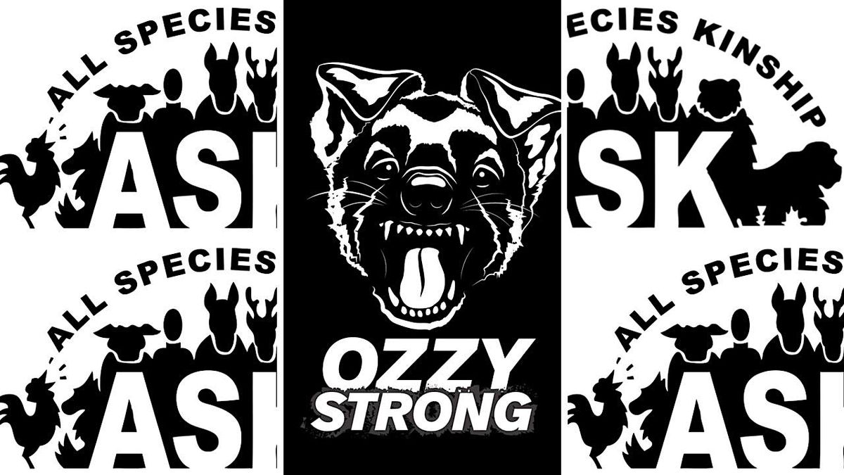 Ozzy Strong Puppy Shower