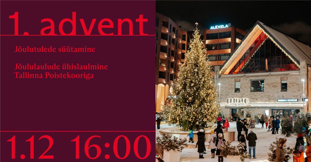 1. advent Rotermannis