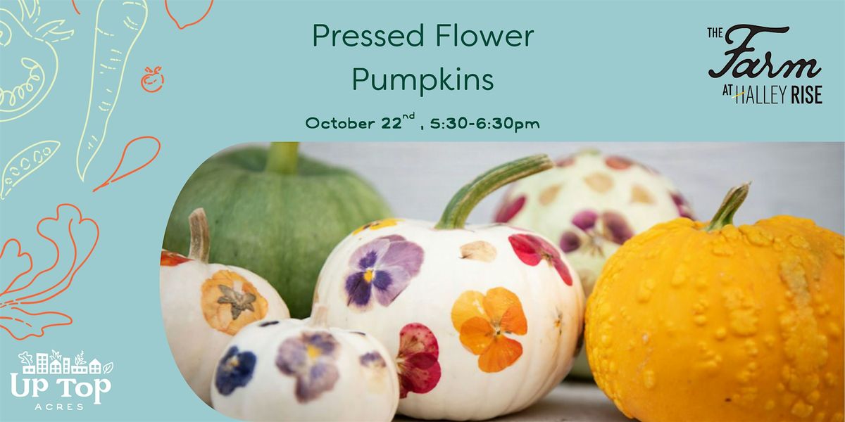 Pressed Flower Pumpkins