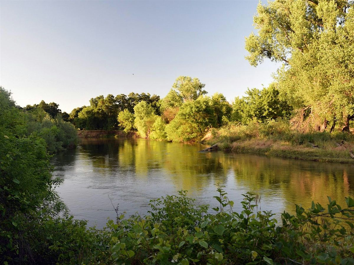 Beginner Birding at the Ripon River Trail