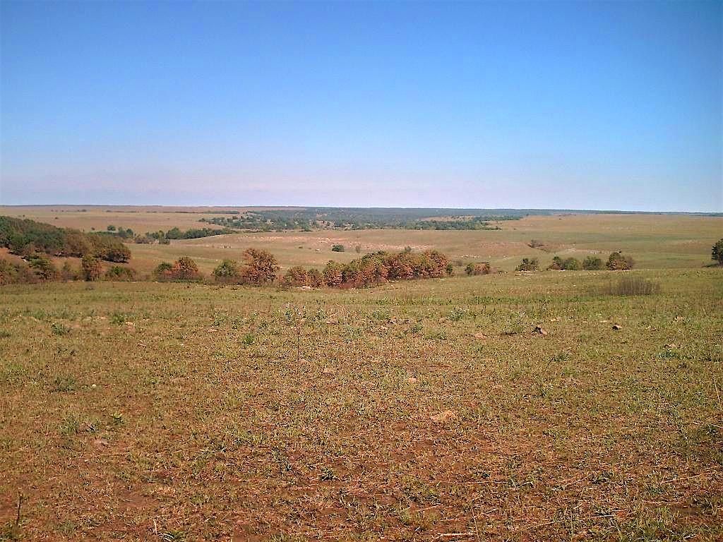 From Prayer to Prairie: A Celebration of the Song