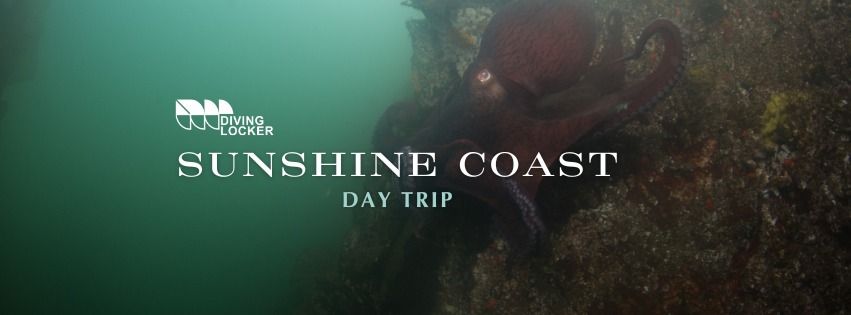 Sunshine Coast Day Trip