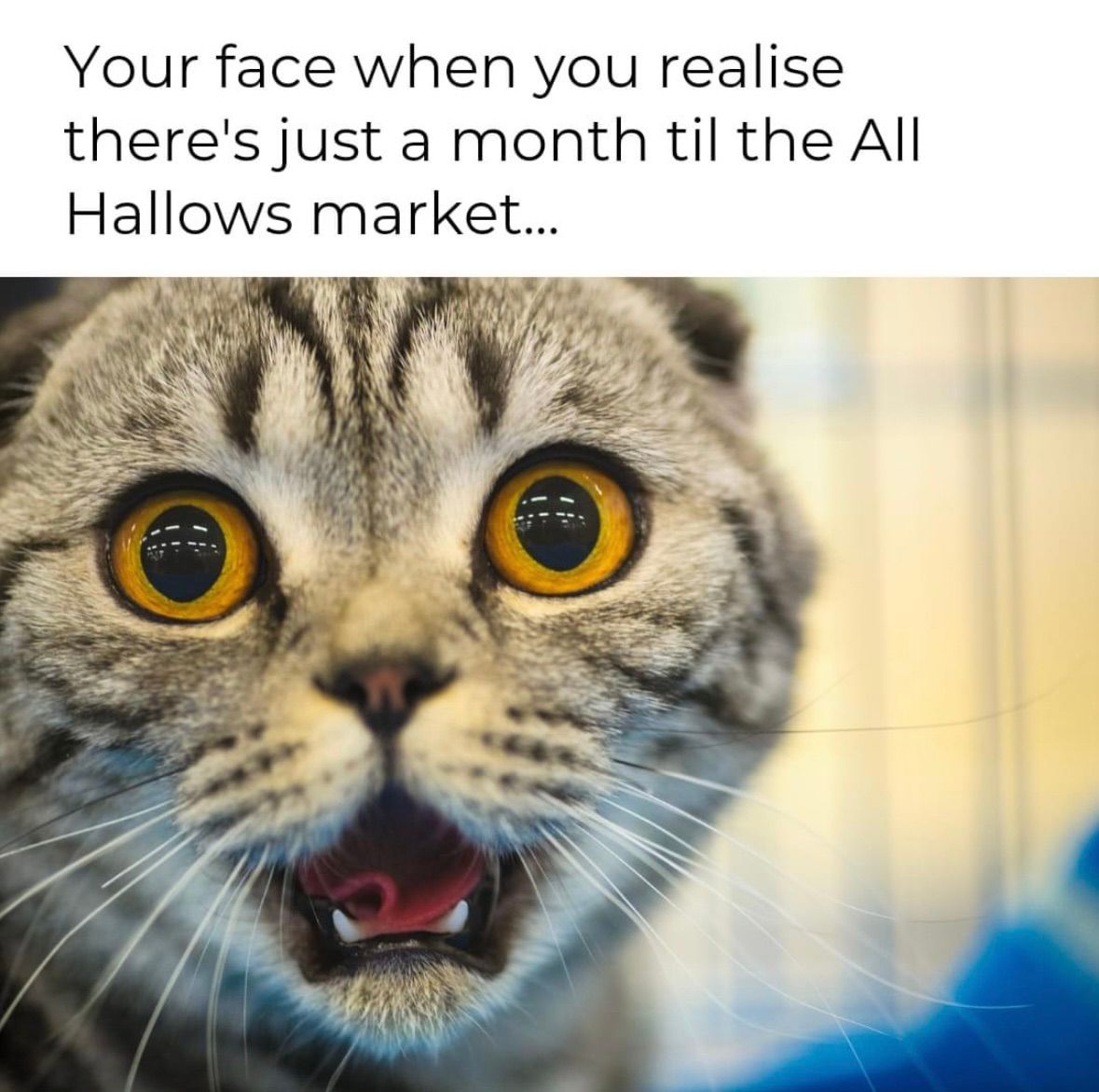 Witch Elm Markets - Mander Centre - All Hallows - 26th,27th October 2024