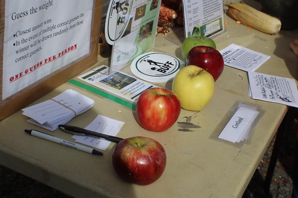 Apple Festival