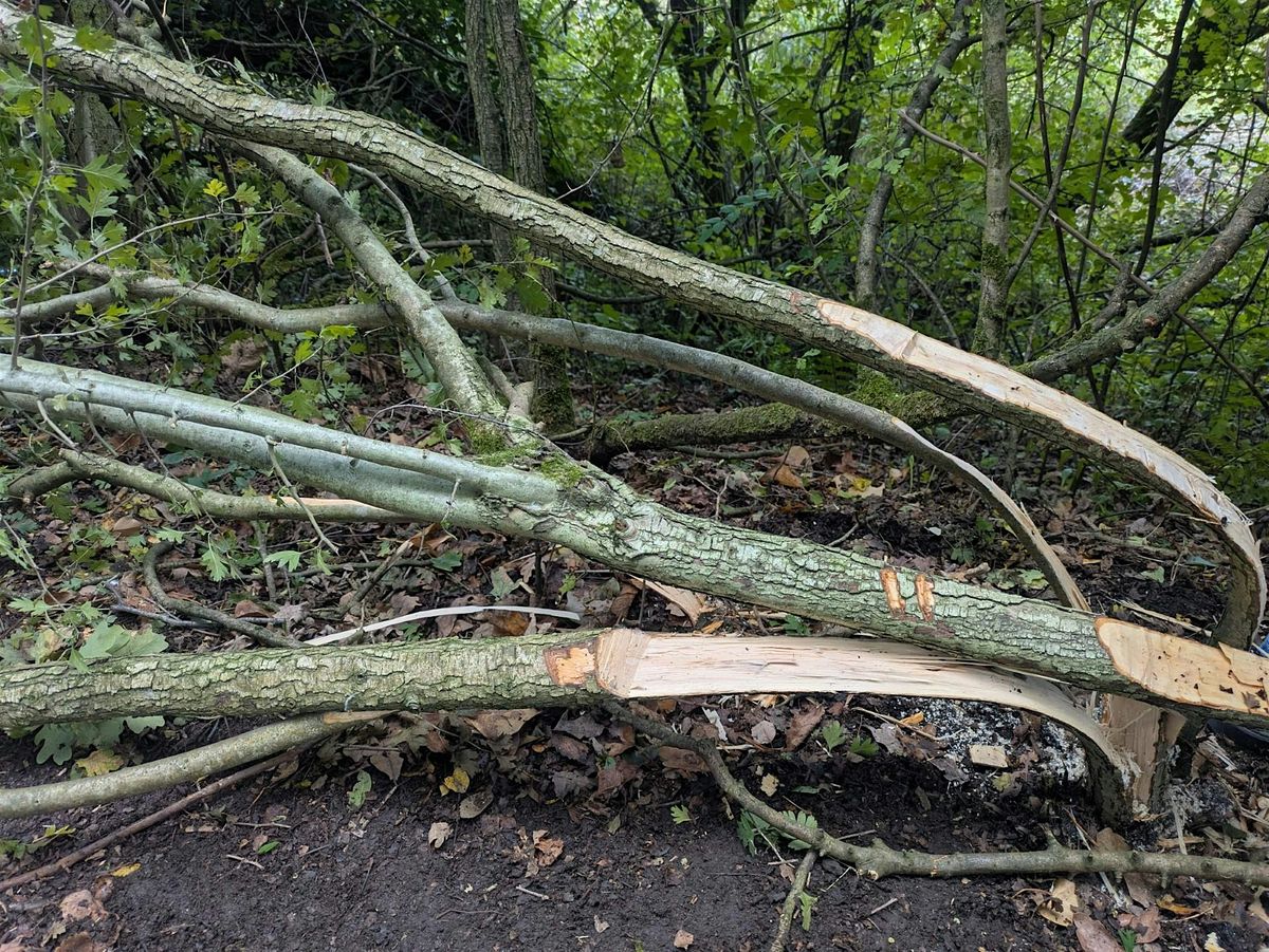 Hedgelaying workshop @ Peel Park (Crescent)