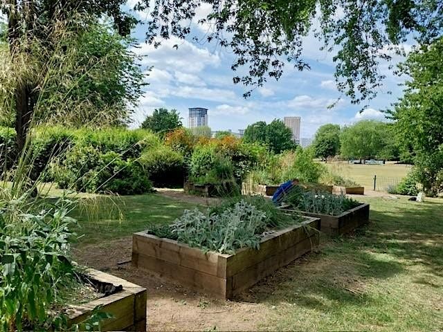 Volunteering at Ordsall Park