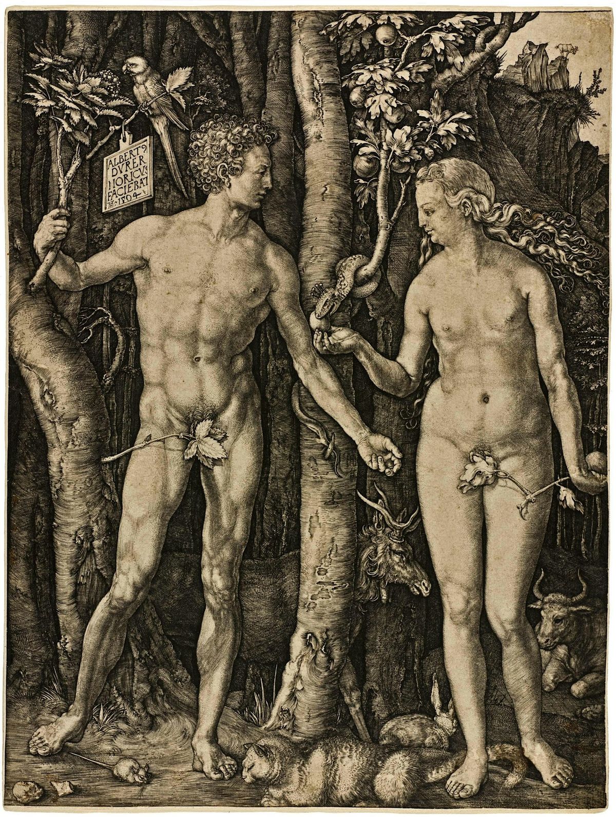 Art in Focus: Albrecht D\u00fcrer, Adam and Eve, 1504