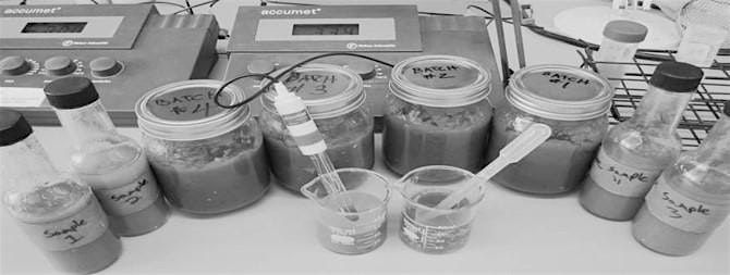 Food Safety Workshop for Food Entrepreneurs