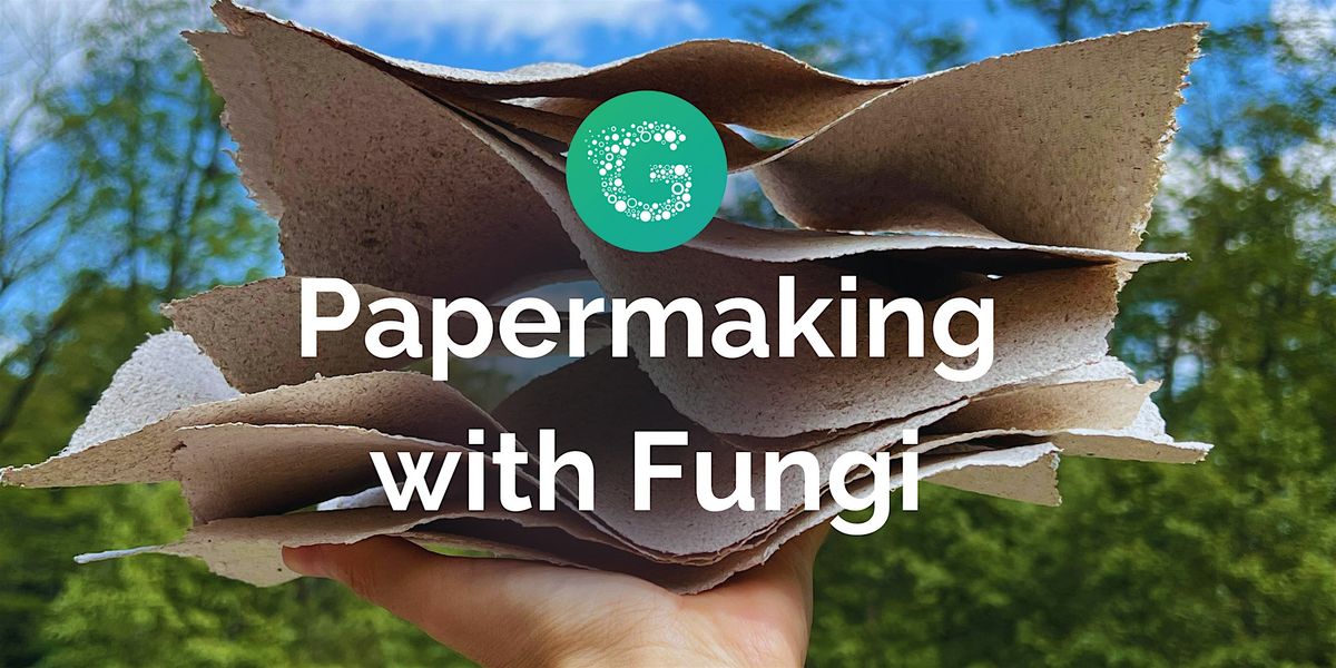 Papermaking with Fungi