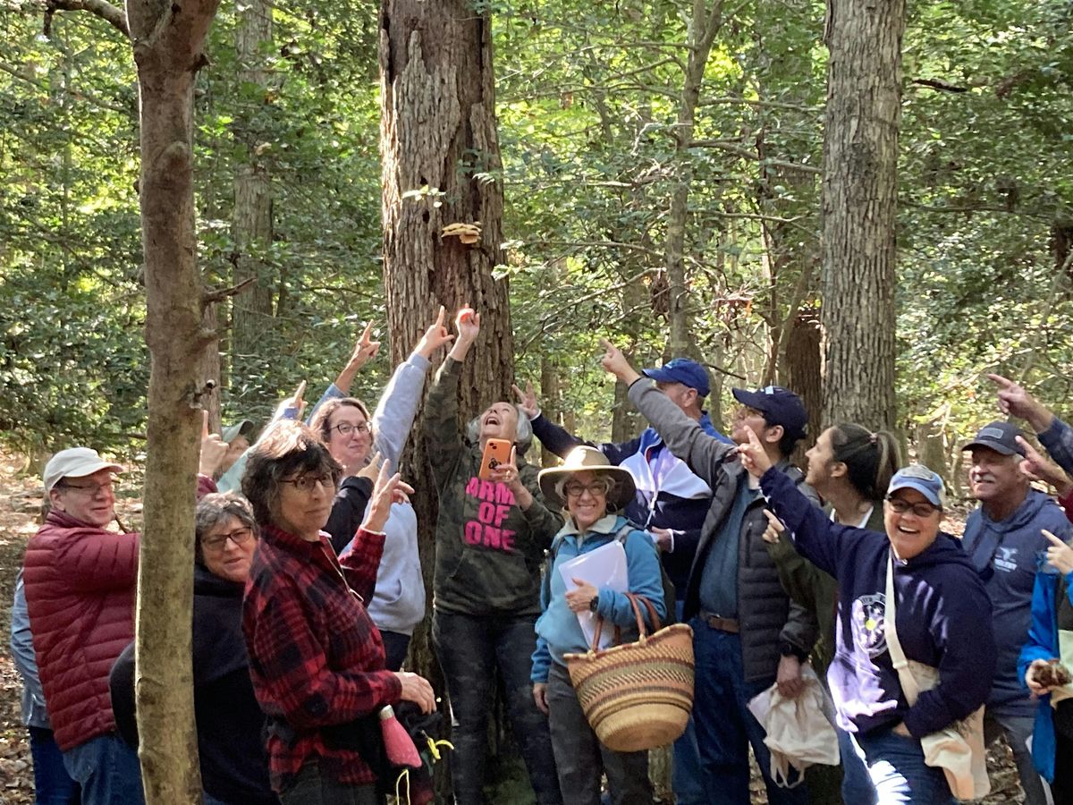 Mushroom 101 and Foraging Class