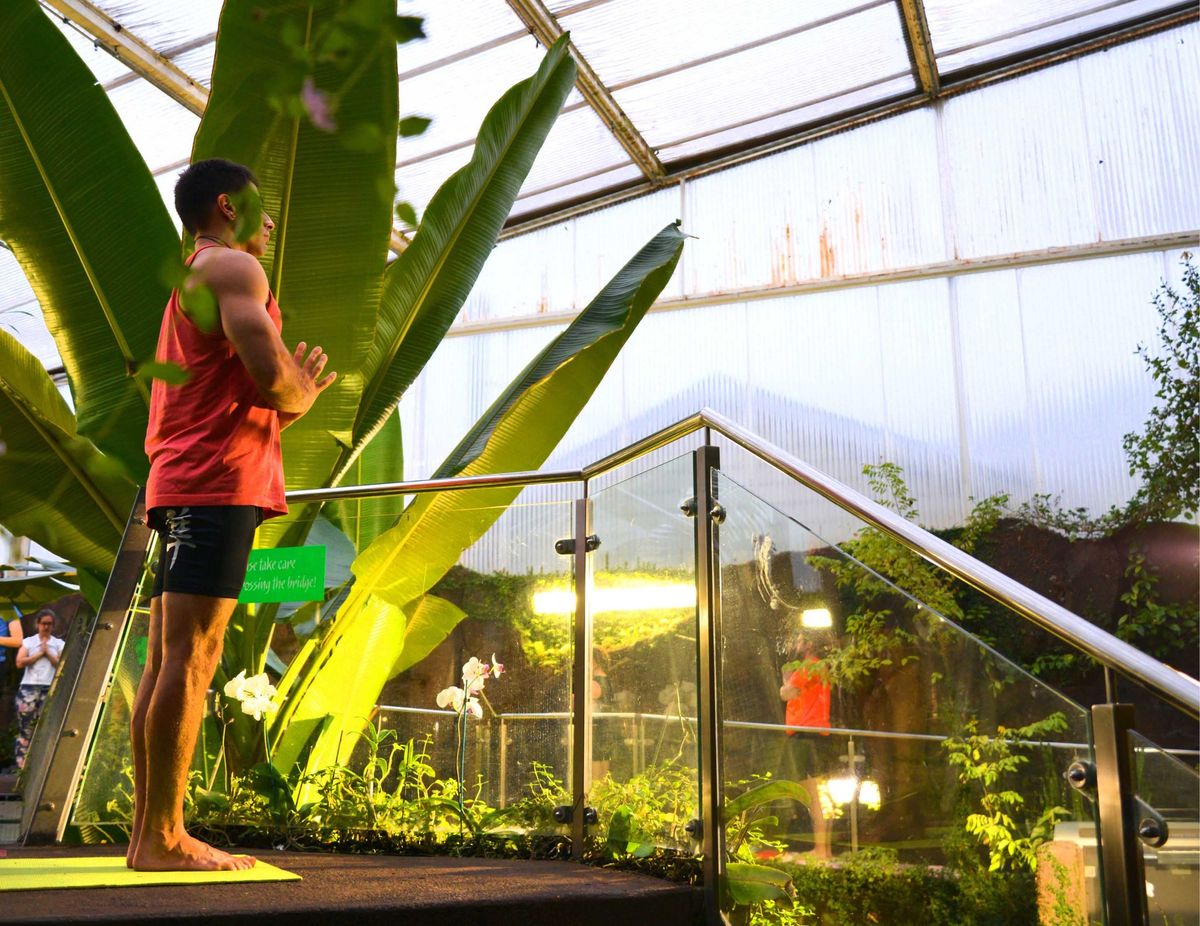 Yoga with the Butterflies