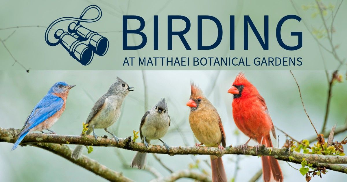 Saturday Spring Birding at Matthaei (FREE!)