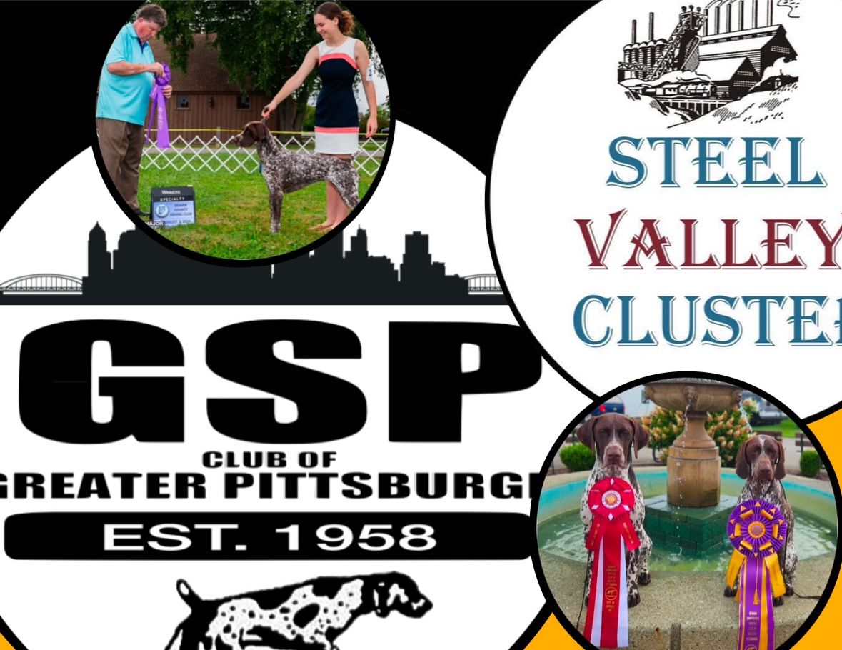 GSPCGP at The Steel Valley Cluster 