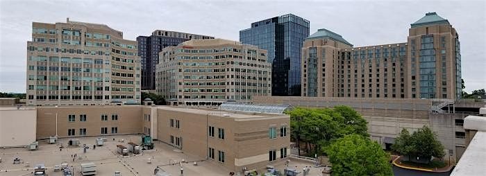 An Exciting Scavenger Hunt! - No Respite (for Art) in Reston