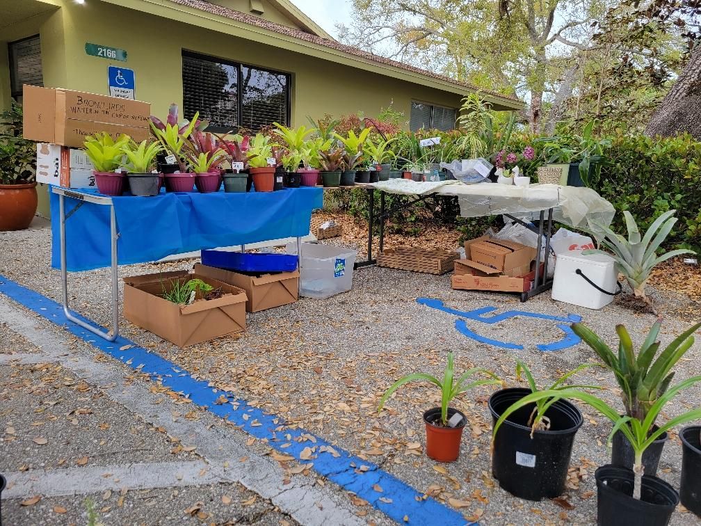 Plant & Treasure Sale, The Poinciana Garden Club Fundraiser @ the Berne Davis Gardens