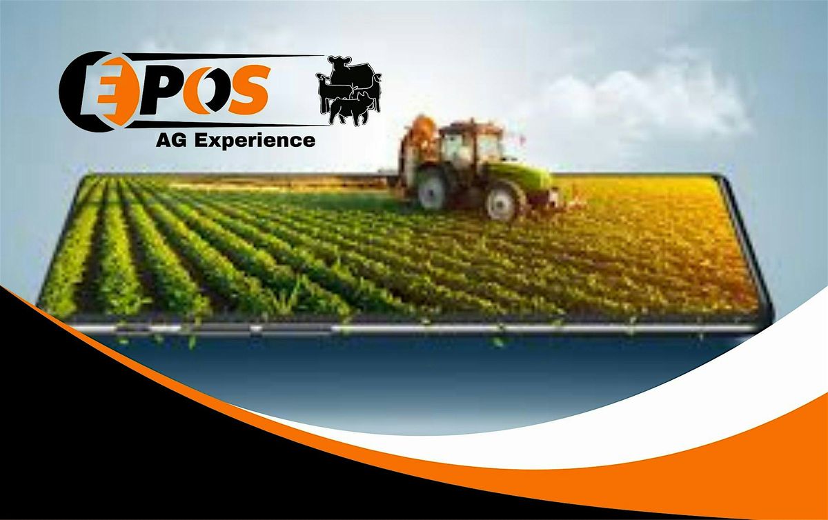 Epos AG Experience