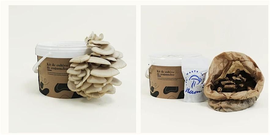 Workshop with N\u00e3m - Grow your own mushrooms