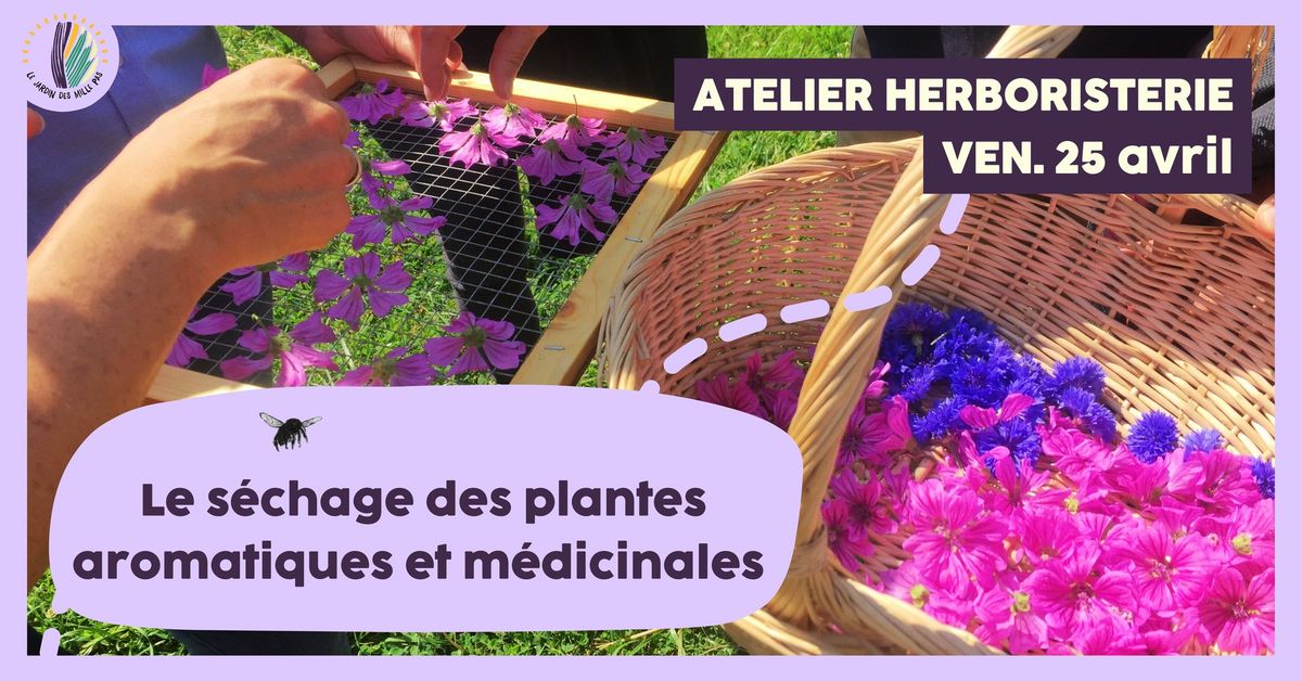 Atelier herboristerie : Le s\u00e9chage des plantes aromatiques et m\u00e9dicinales