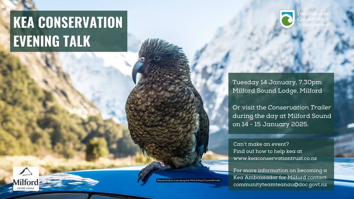 Kea Conservation Evening Talk, Milford Sound