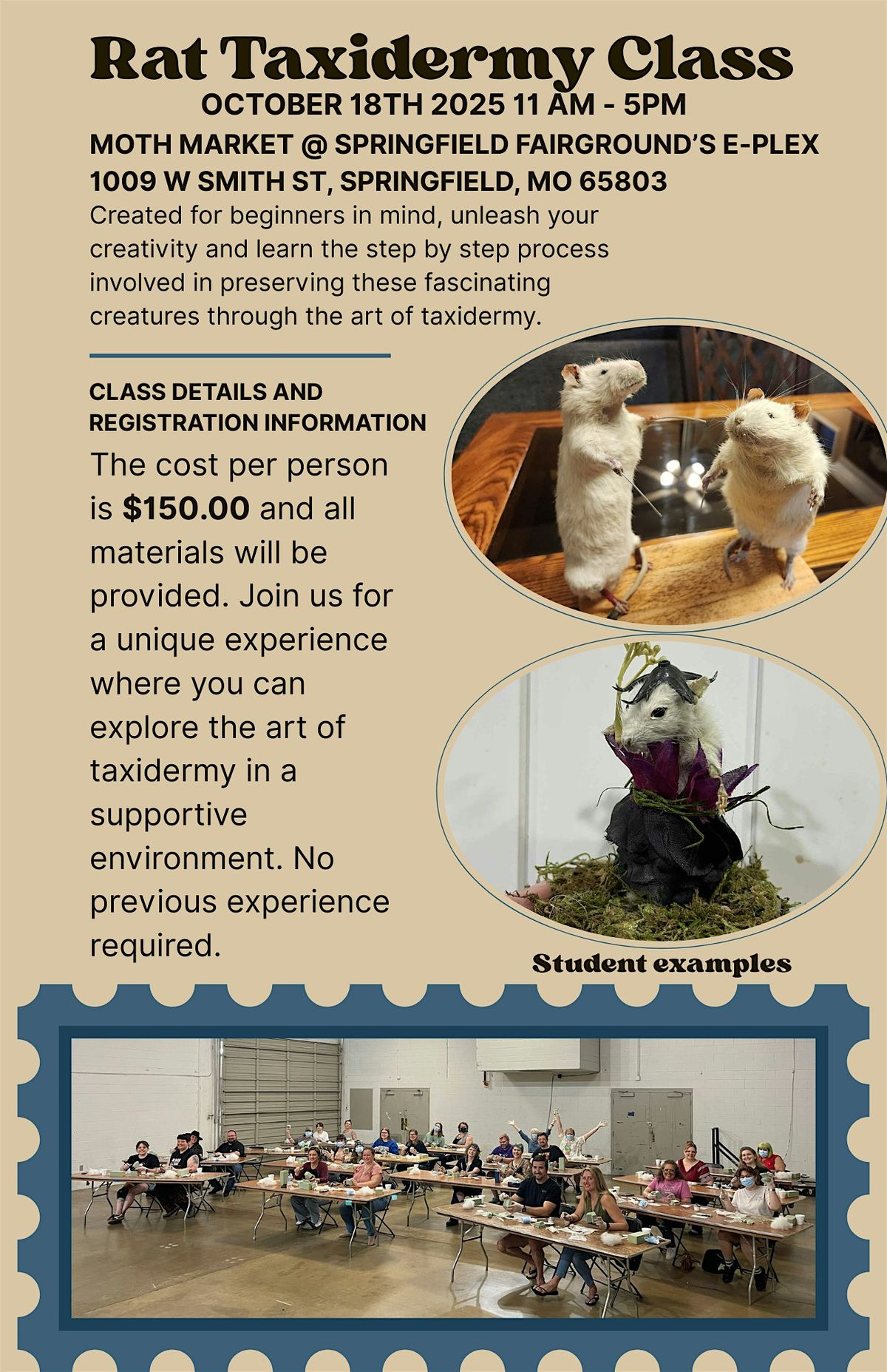 Rat Taxidermy Class