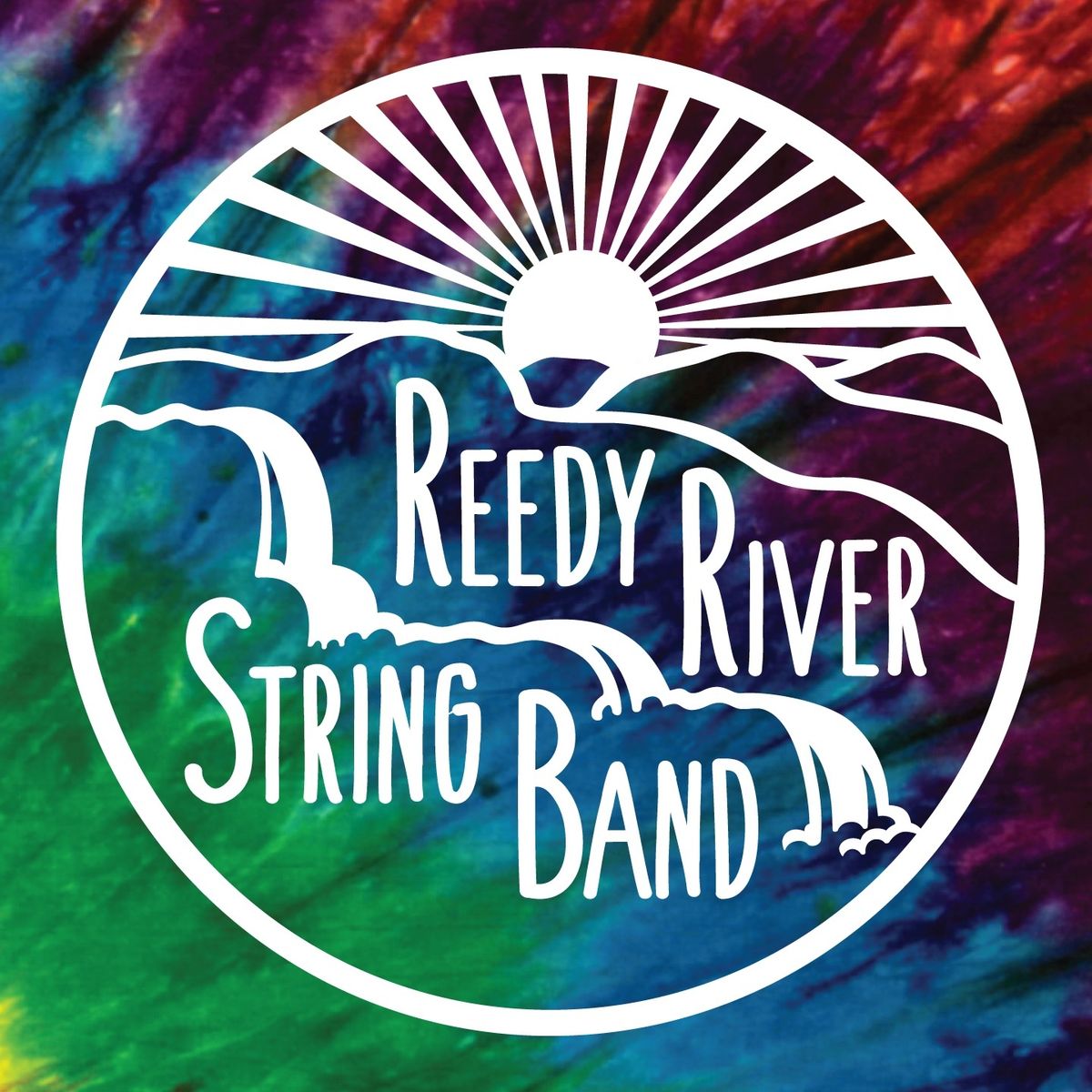 Reedy River String Band at Dunedin Brewery