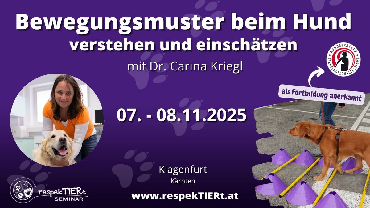 Bewegungsmuster beim Hund verstehen und einsch\u00e4tzen mit Dr. Carina Kriegl