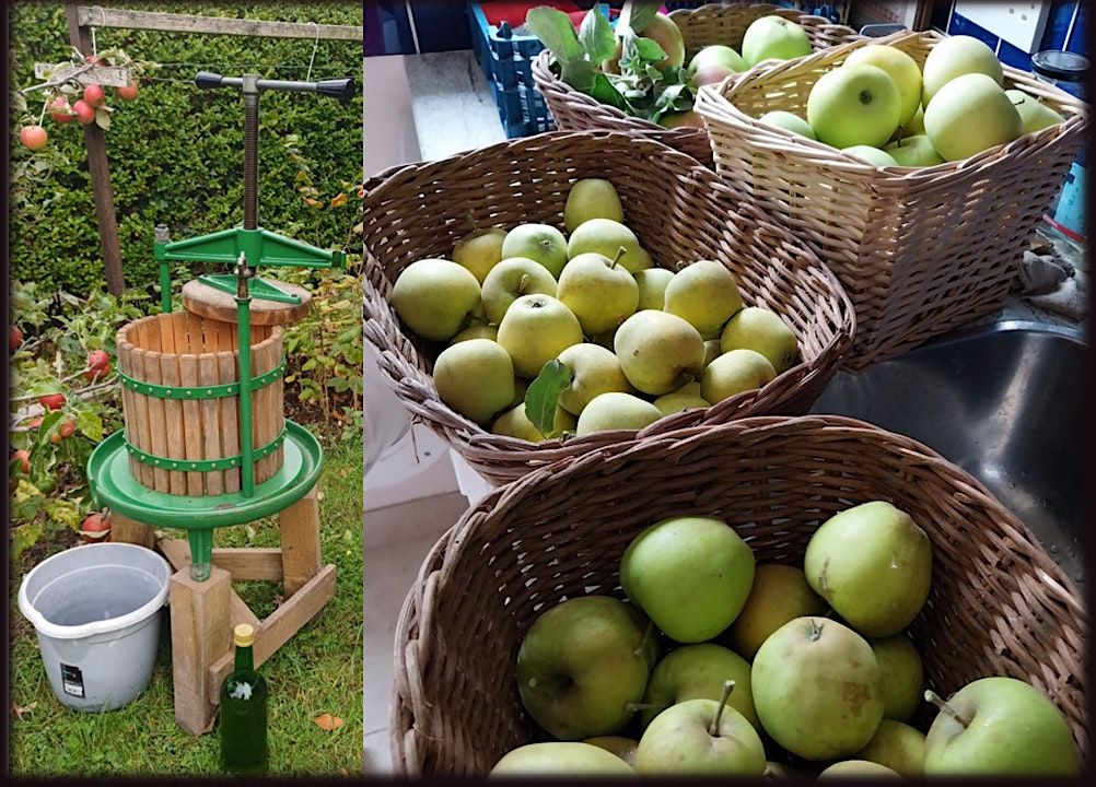 Apple Pressing @ Rugby Eco Hub - from 10:00am on Saturday 4th October