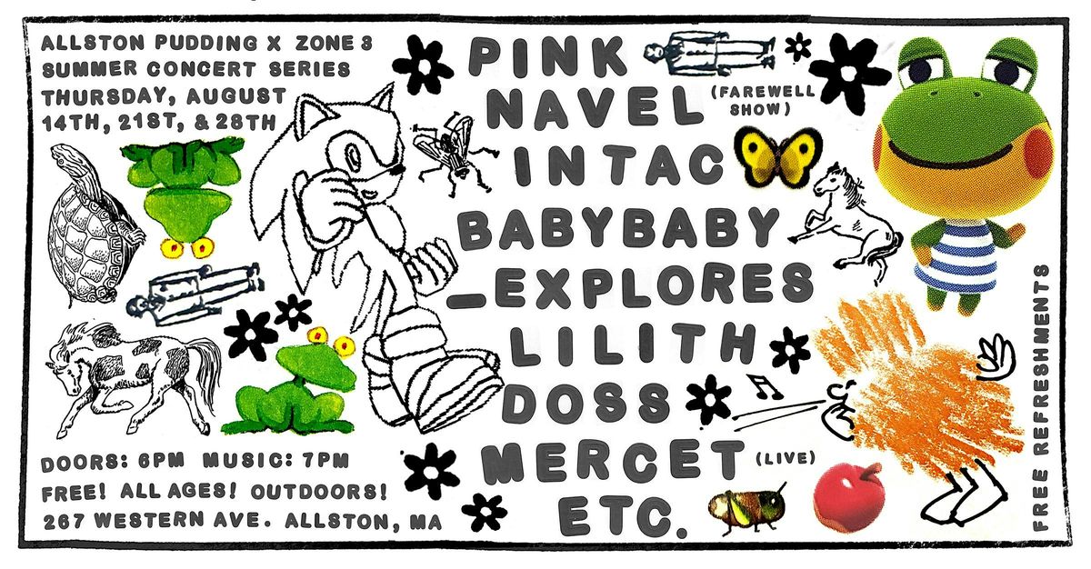 Allston Pudding x Zone 3 Summer Concert Series