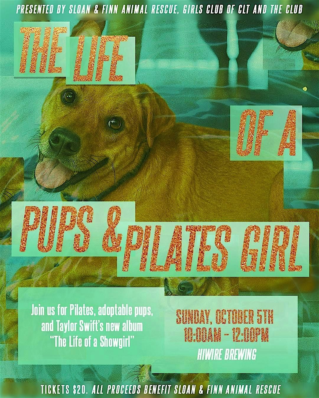 The Life of a Pups & Pilates Girl: Taylor Swift Themed Pups & Pilates