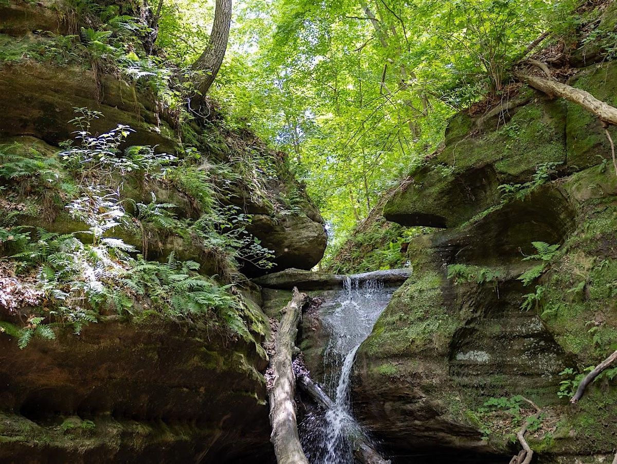 Starved Rock Yoga  & Ayurveda Day Retreat