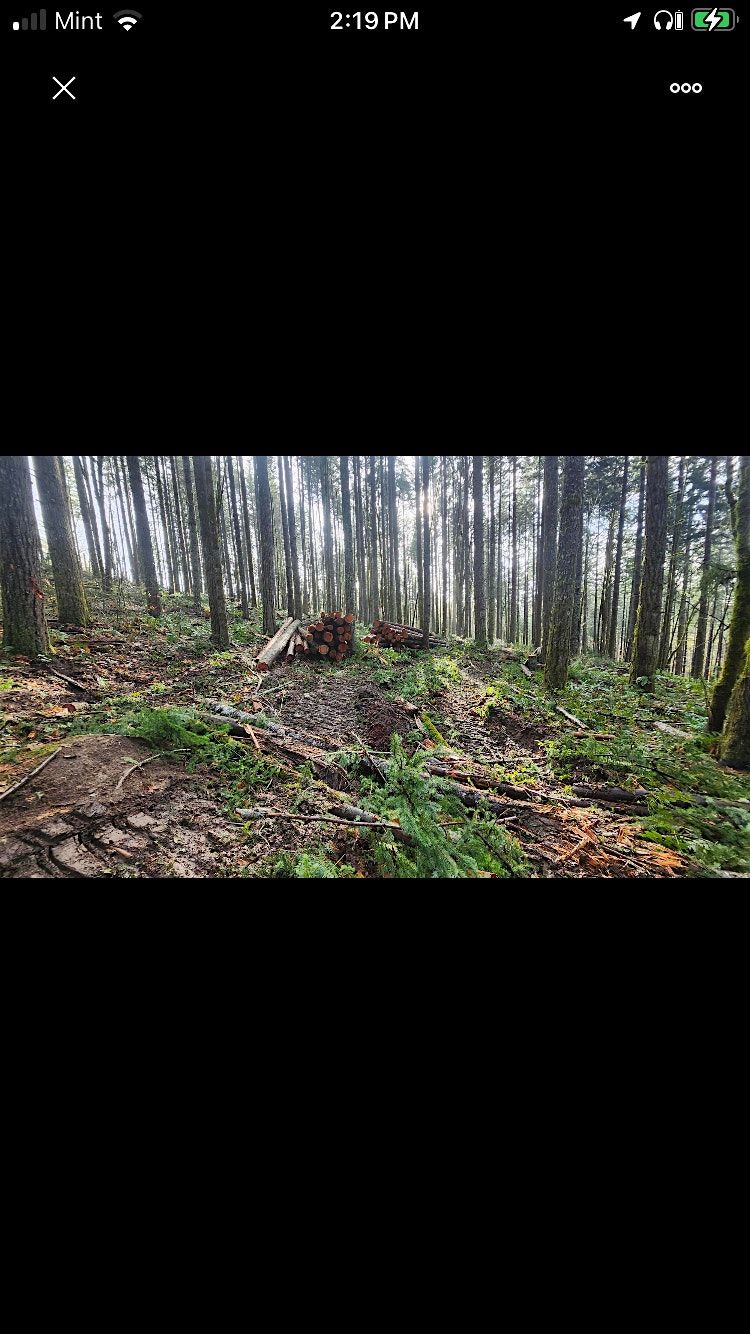 Trail Restoration Day: Help Rebuild Our Mountain Bike Trails! - Stub 2\/2